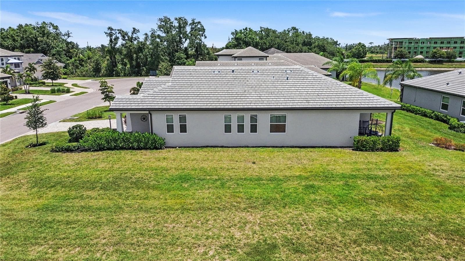 12115 Bald Cypress CV photo 3