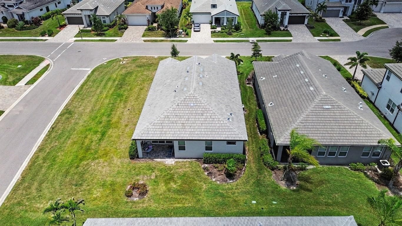 12115 Bald Cypress CV photo 4