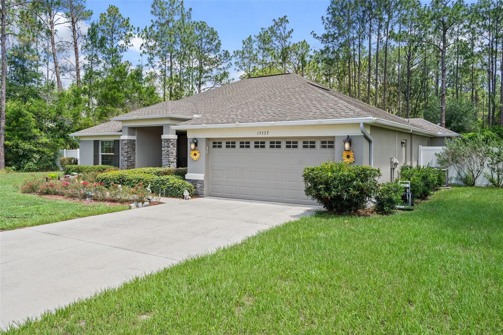 15577 Sago Dr photo 4