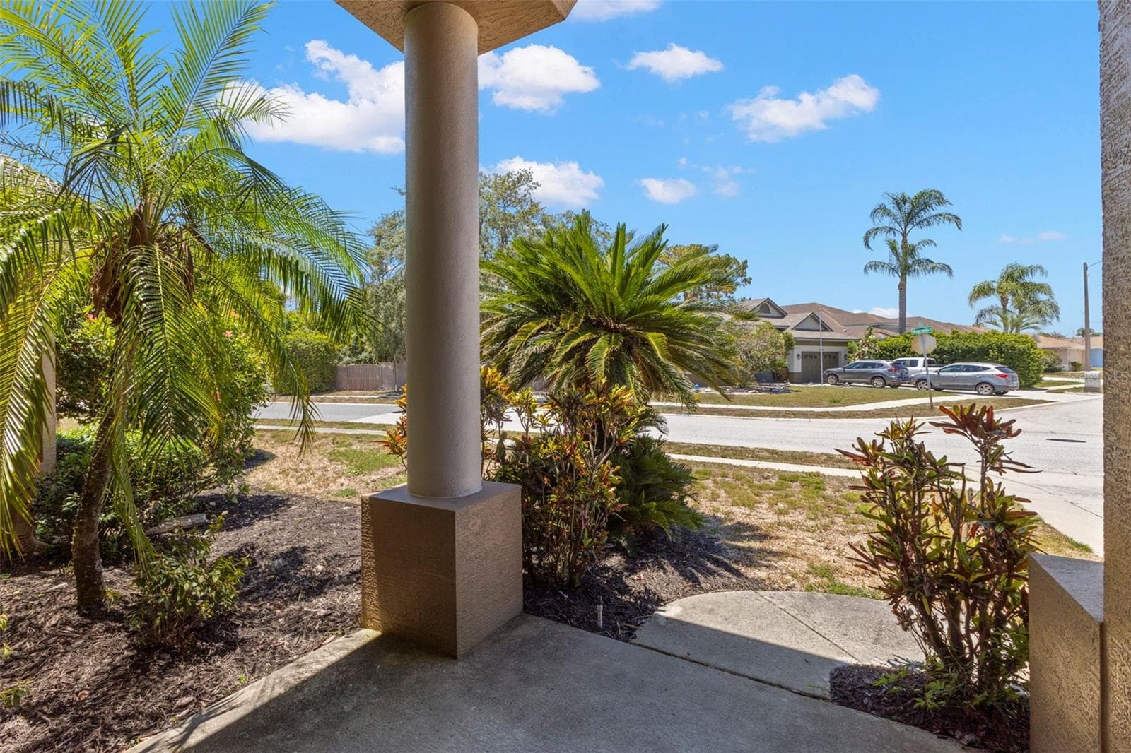 4638 Anaconda Dr photo 5