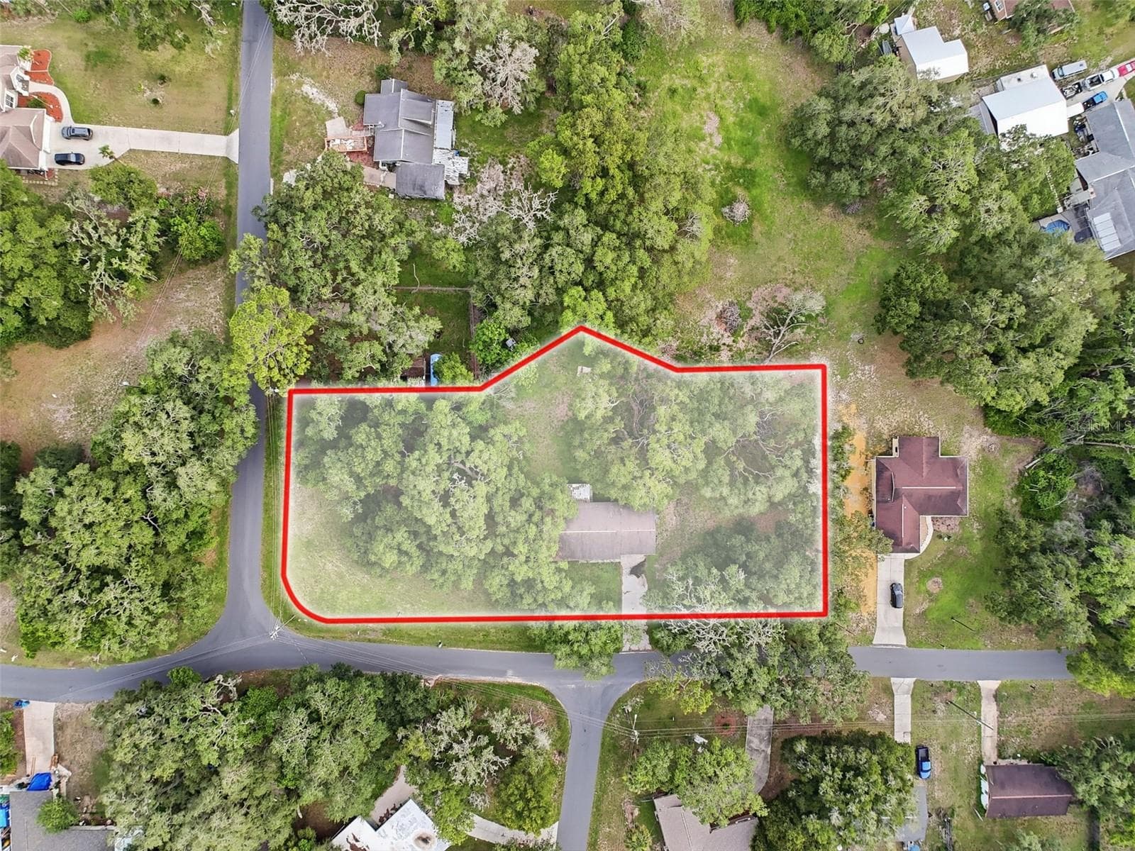 34696 Orchid Pkwy photo 2