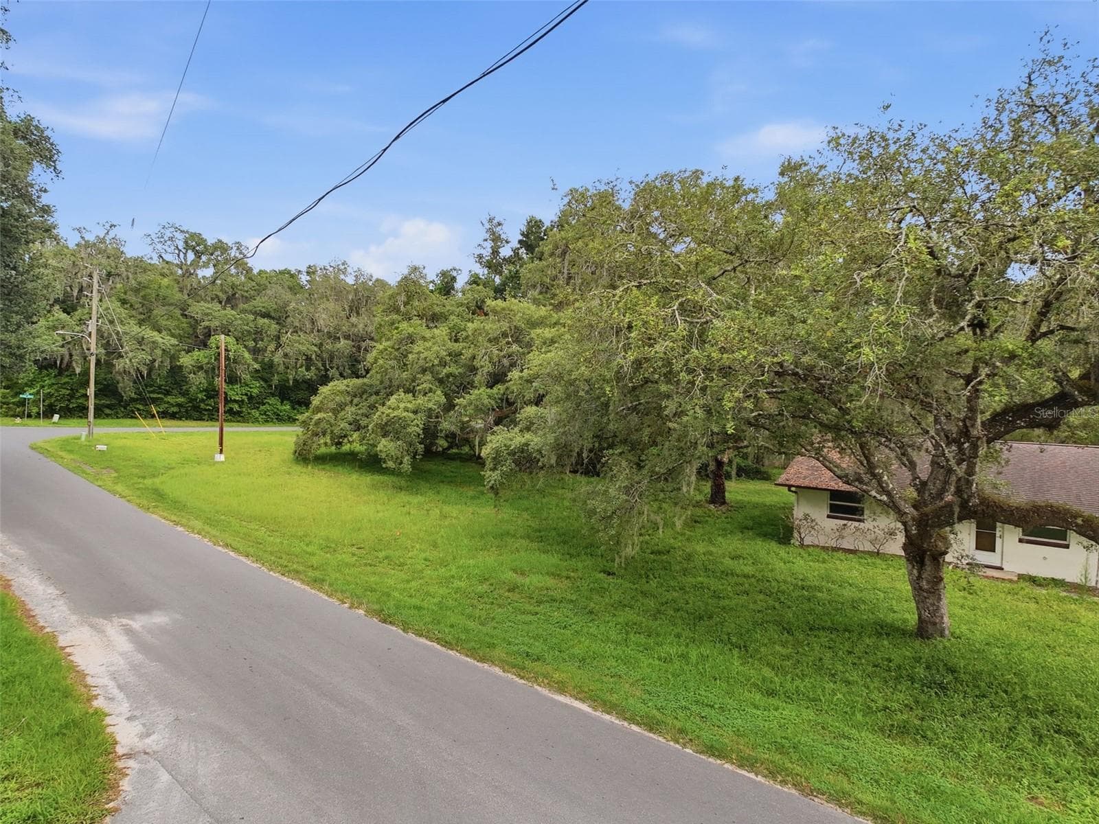 34696 Orchid Pkwy photo 5