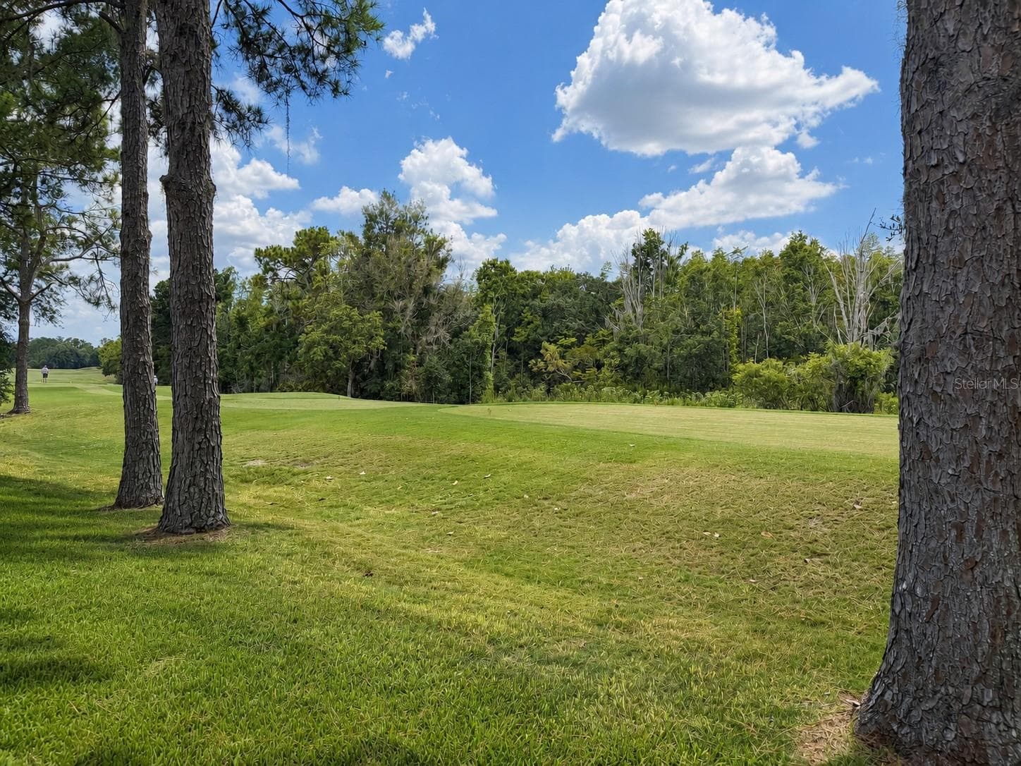 17422 Heather Oaks Pl photo 3