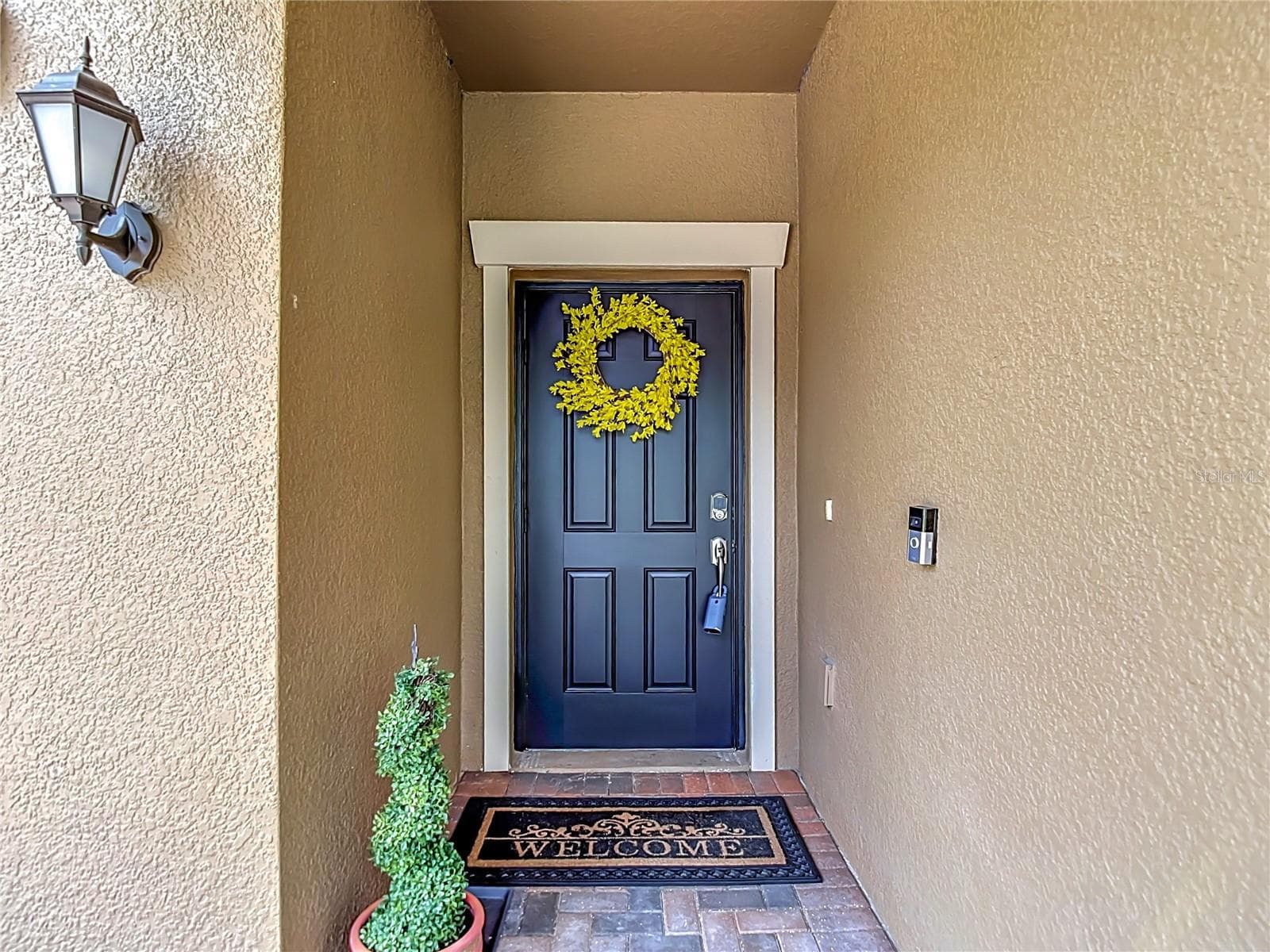 17488 Terrazzo Way photo 3