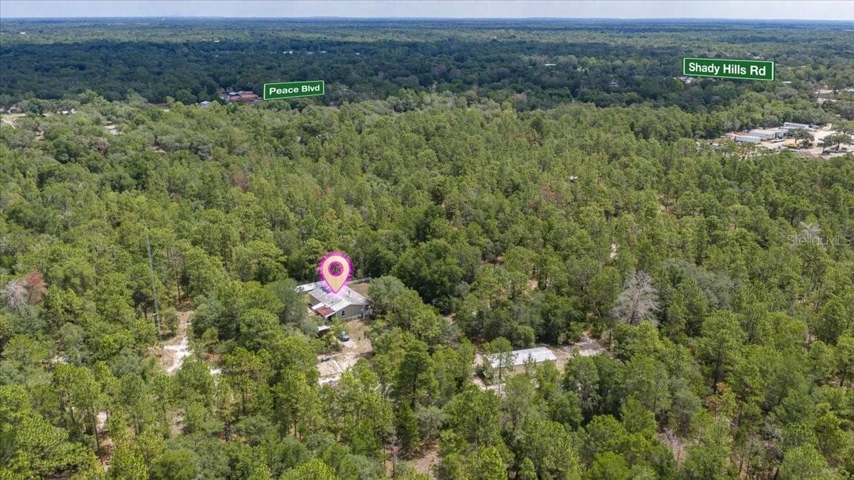 15624 Peace Blvd photo 4