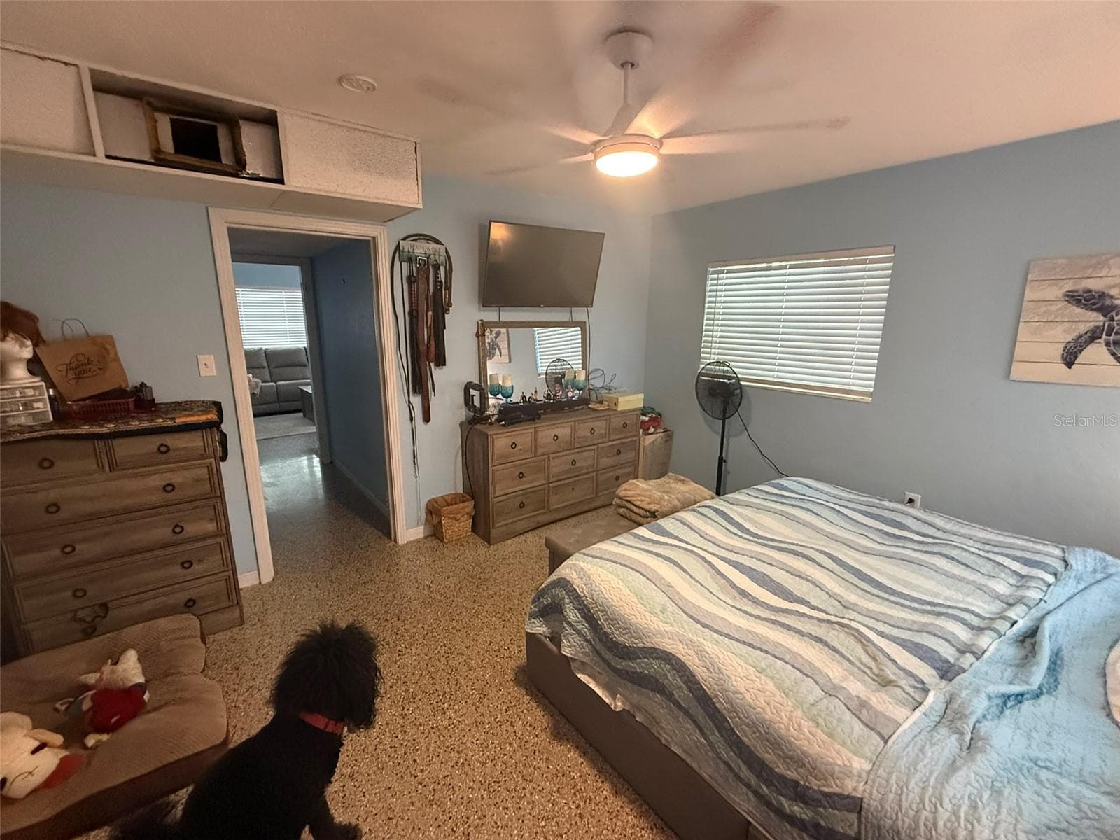 316 76th Ave photo 3