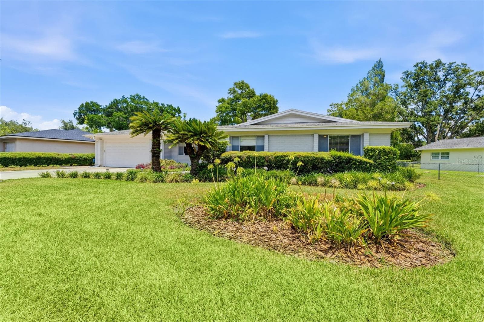 10603 Orange Grove Dr photo 5