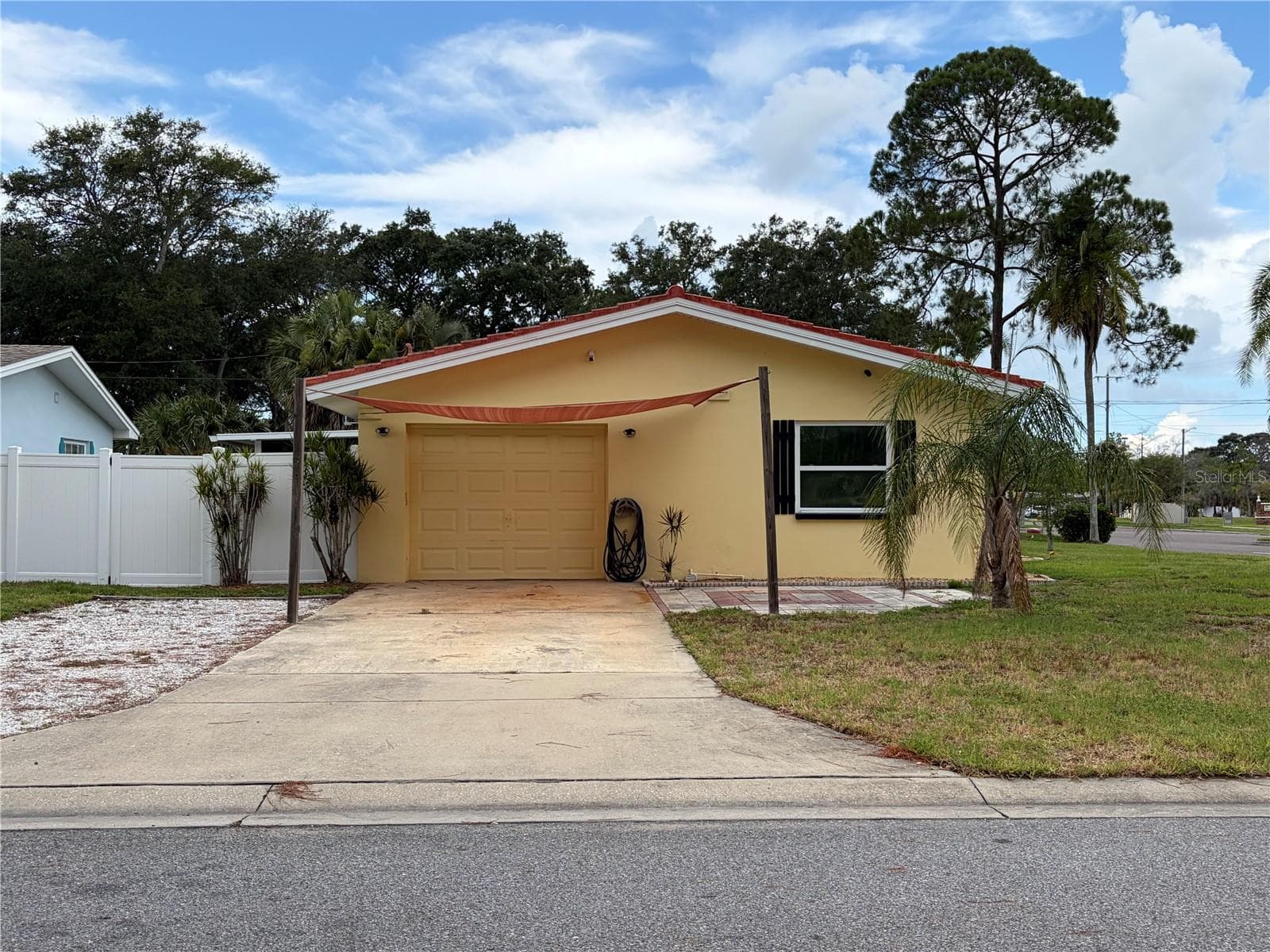 623 Palm Blvd photo 3