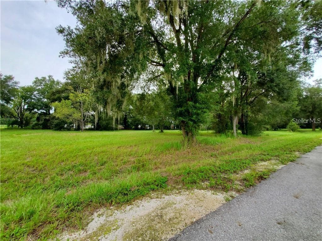 Frazee CT photo 3