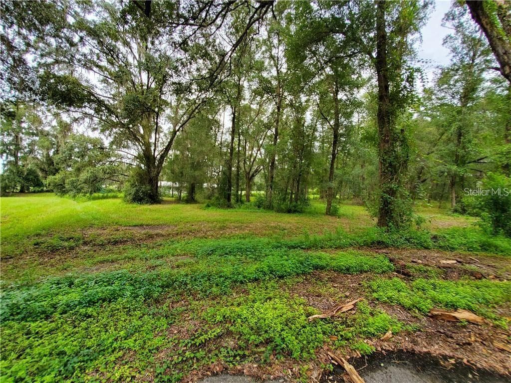 Frazee CT photo 4