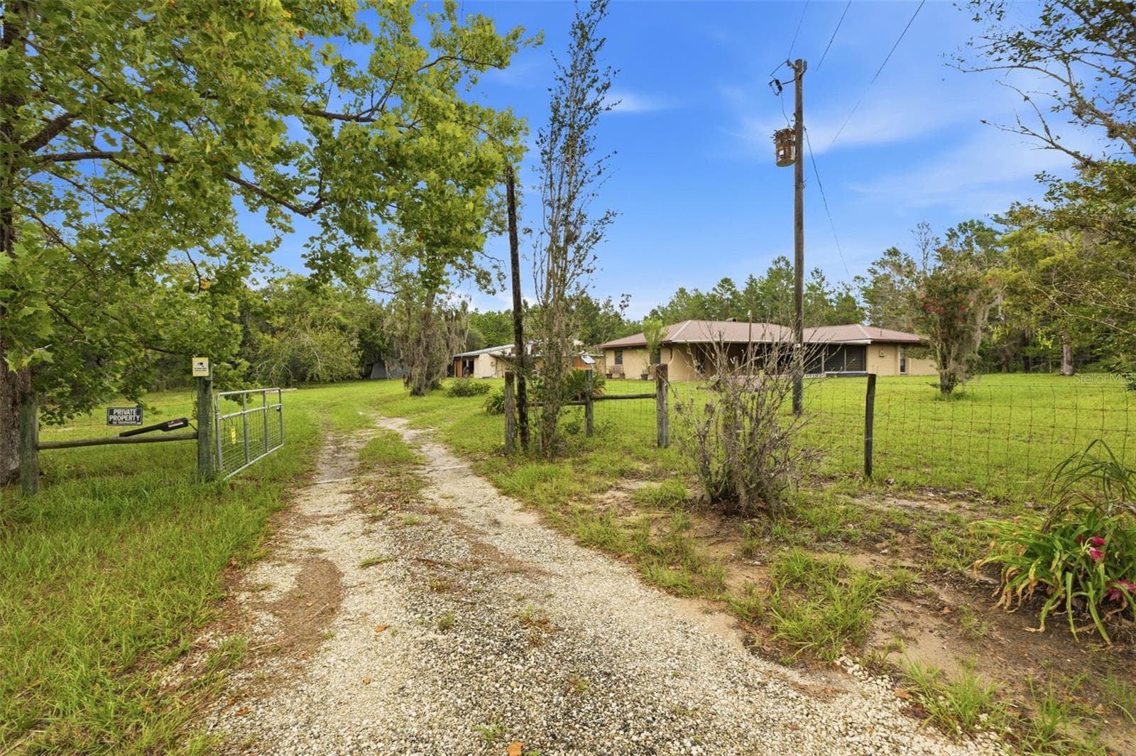 14499 Sandy Dr photo 3