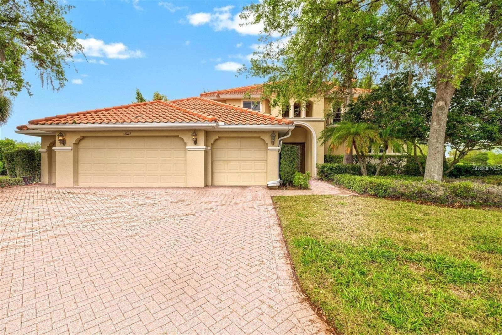 10115 Day Lily CT photo 3