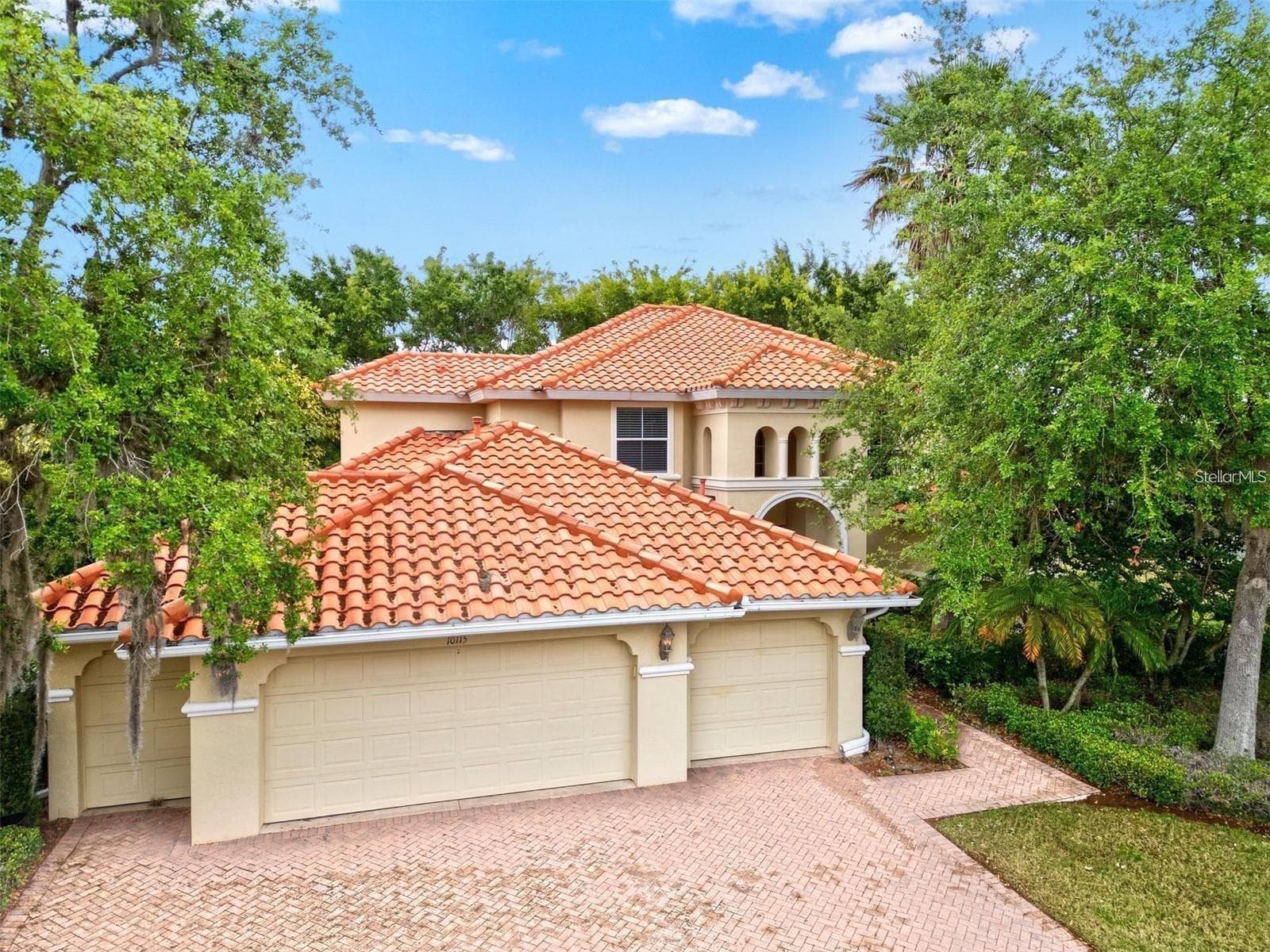 10115 Day Lily CT photo 5