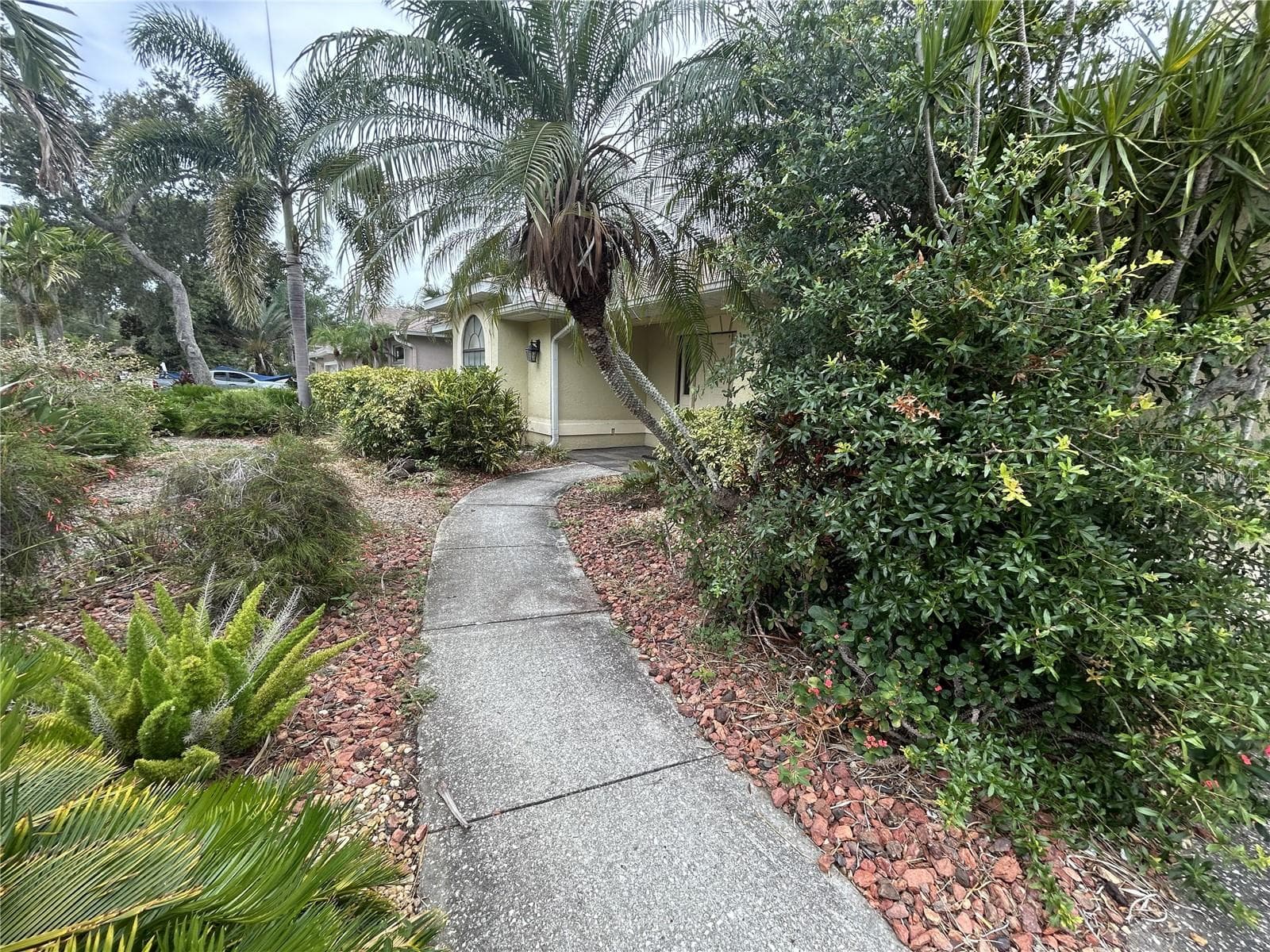 1612 Gulf Beach Blvd photo 3