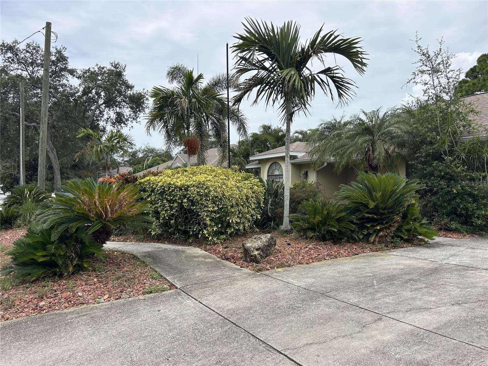 1612 Gulf Beach Blvd photo 5