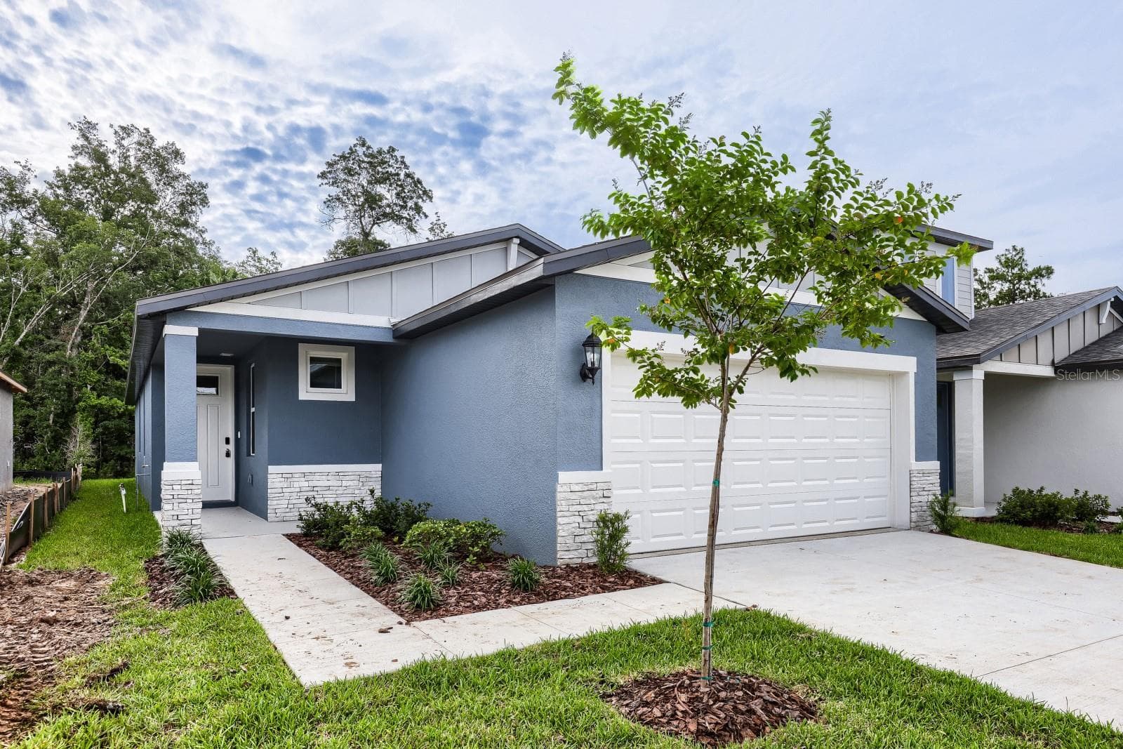 7436 Mia Vine Dr photo 2