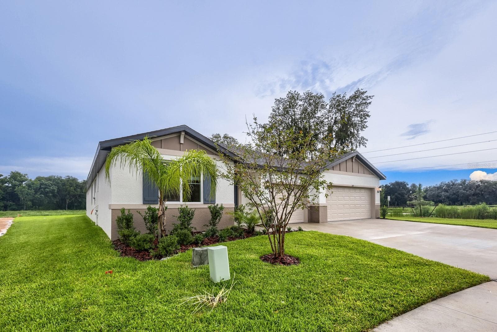 3819 Orange Forest Ln photo 2