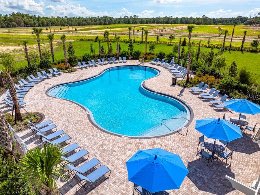 13654 Tropical Breeze Way photo 3