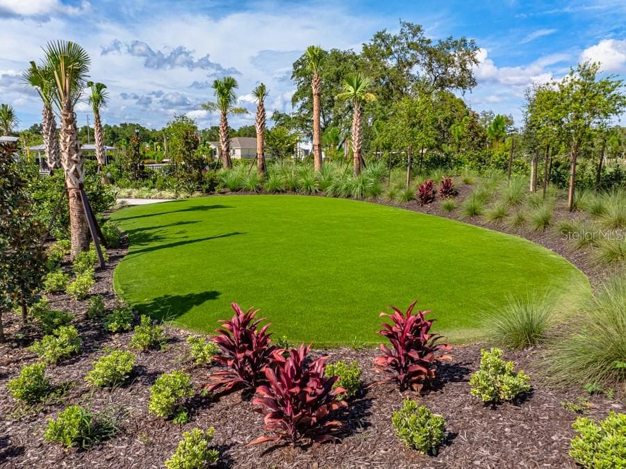 13654 Tropical Breeze Way photo 4
