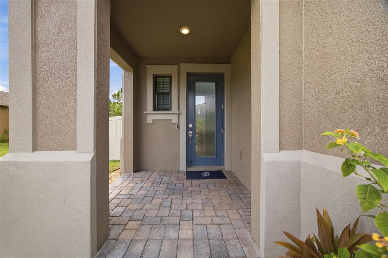 4667 San Martino Dr photo 4