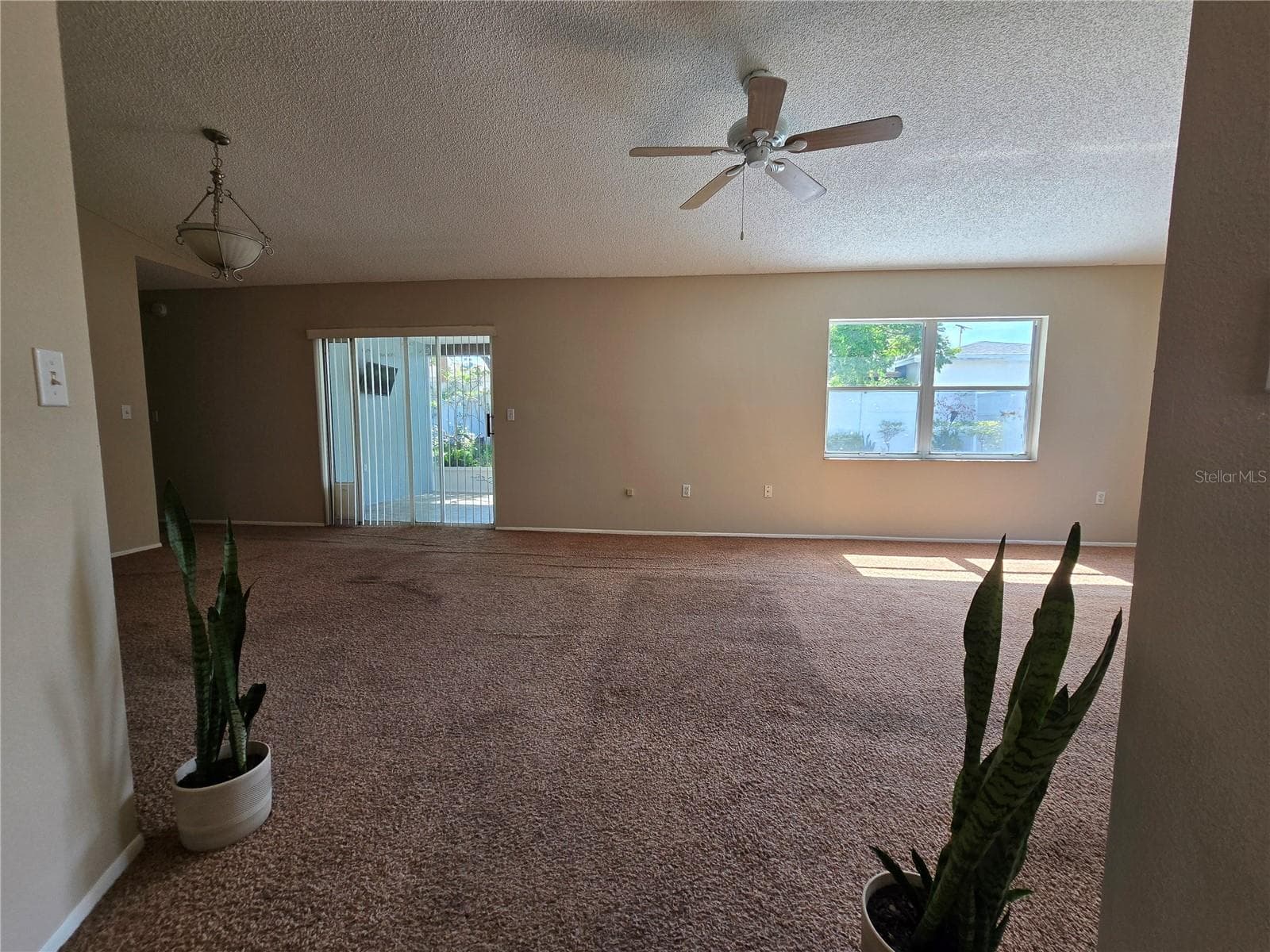 9836 Morehead Ln photo 5