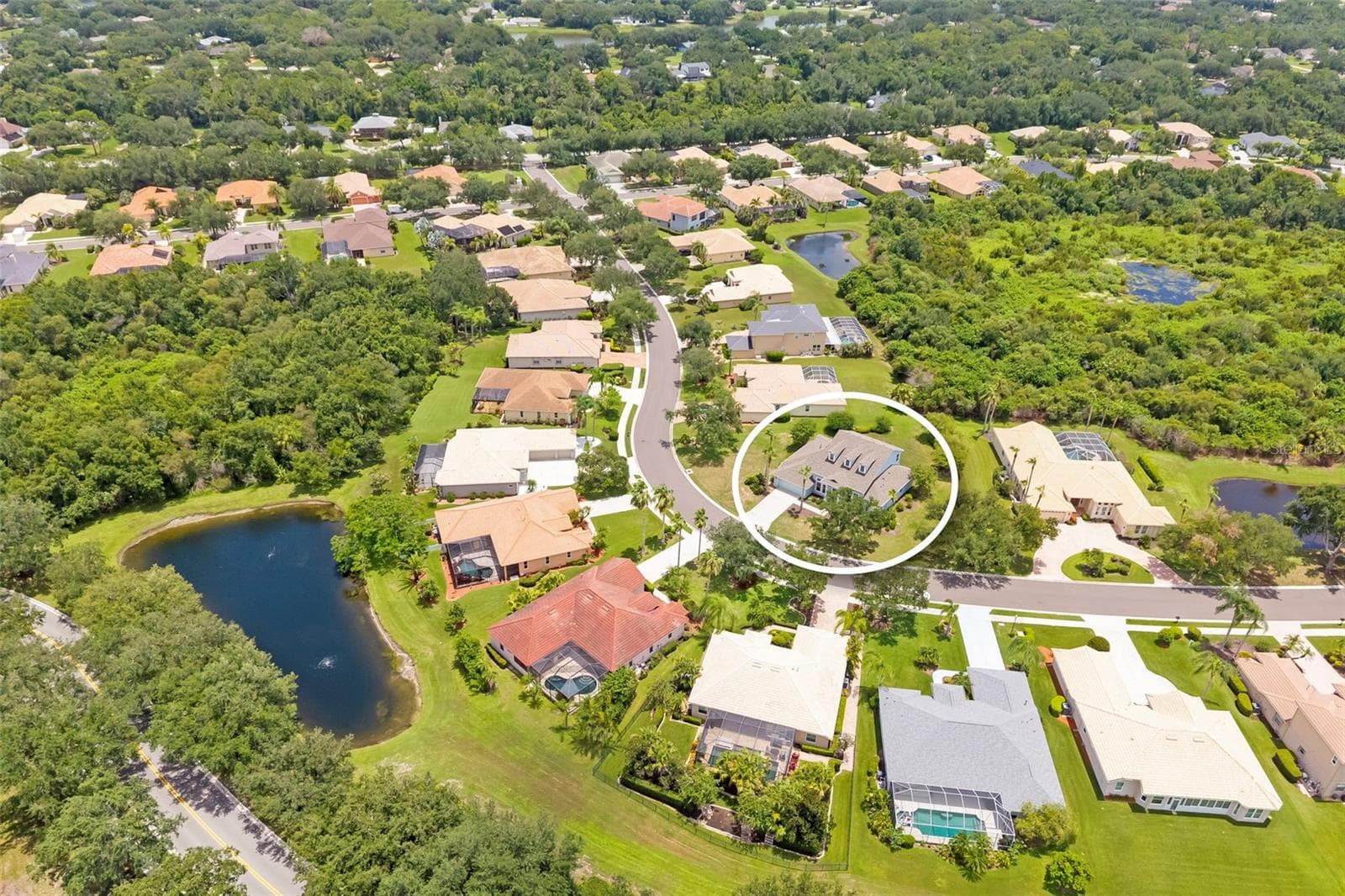 1111 Brambling CT photo 3