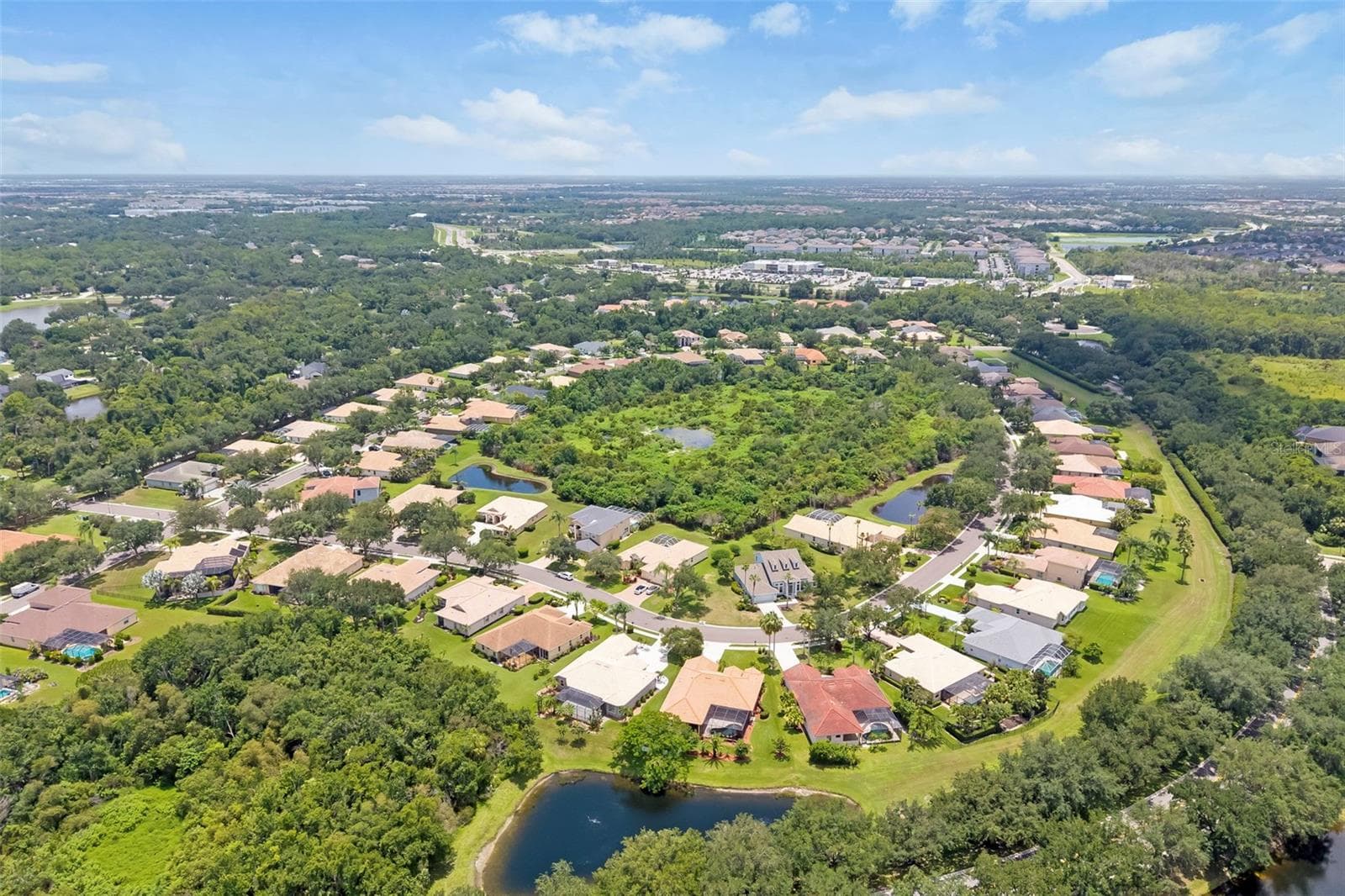 1111 Brambling CT photo 4