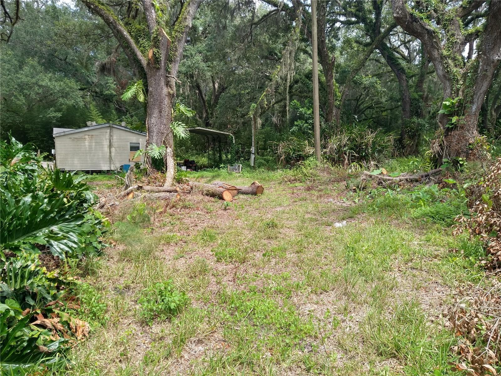 10616 Shady Dr photo 4