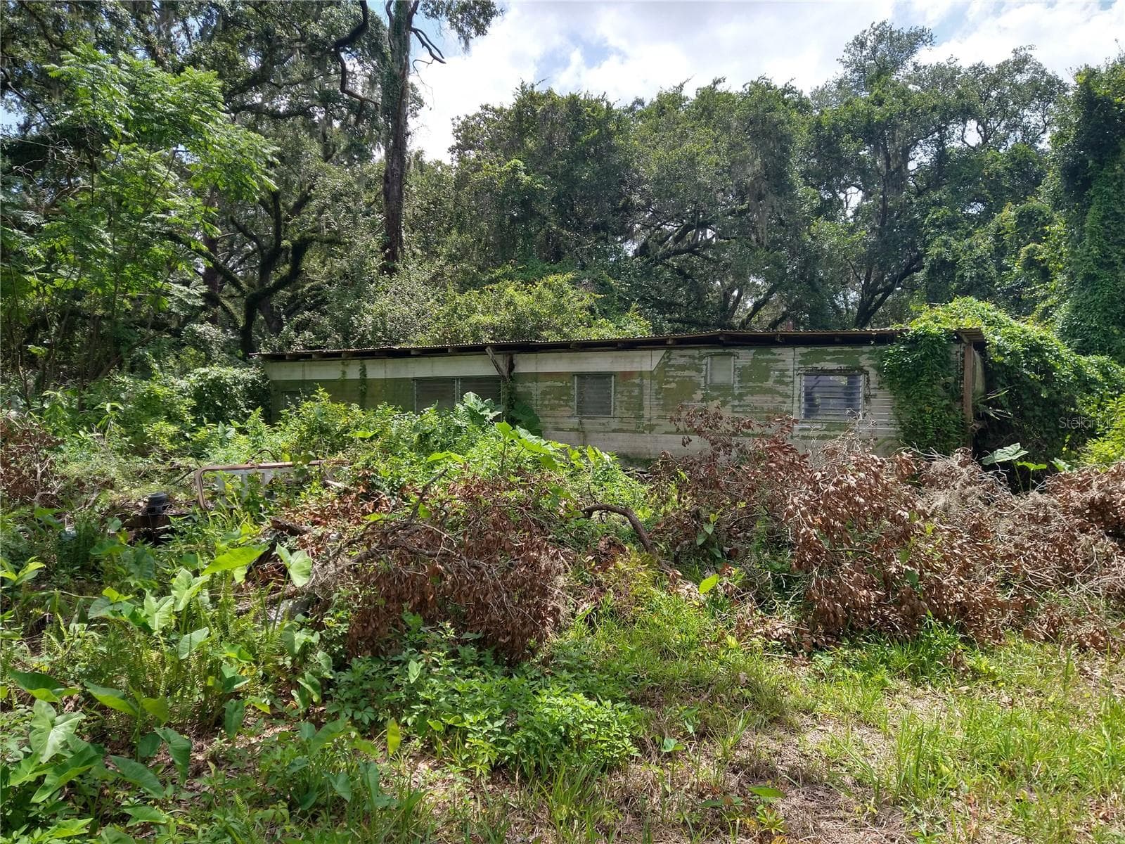 10616 Shady Dr photo 5