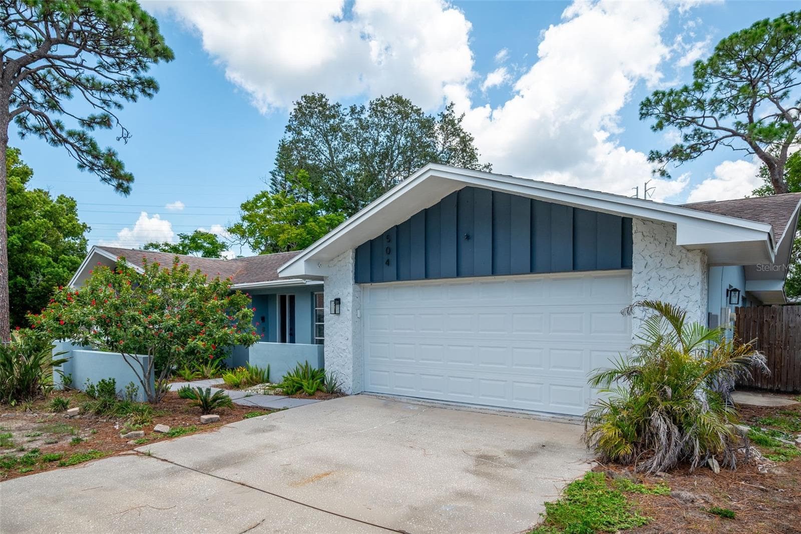 504 Bamboo CT photo 2