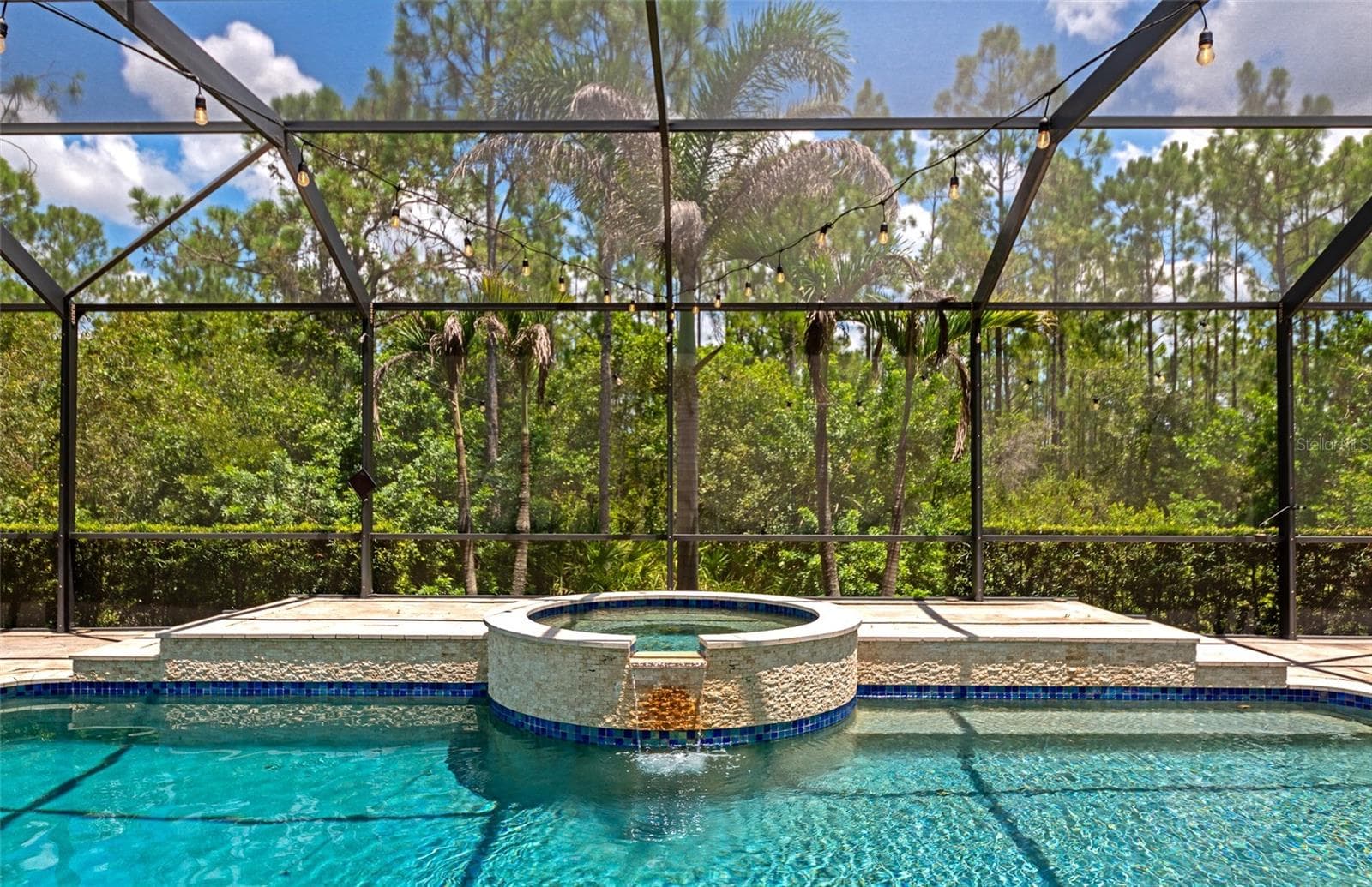 22209 Deer Pointe Xing photo 3