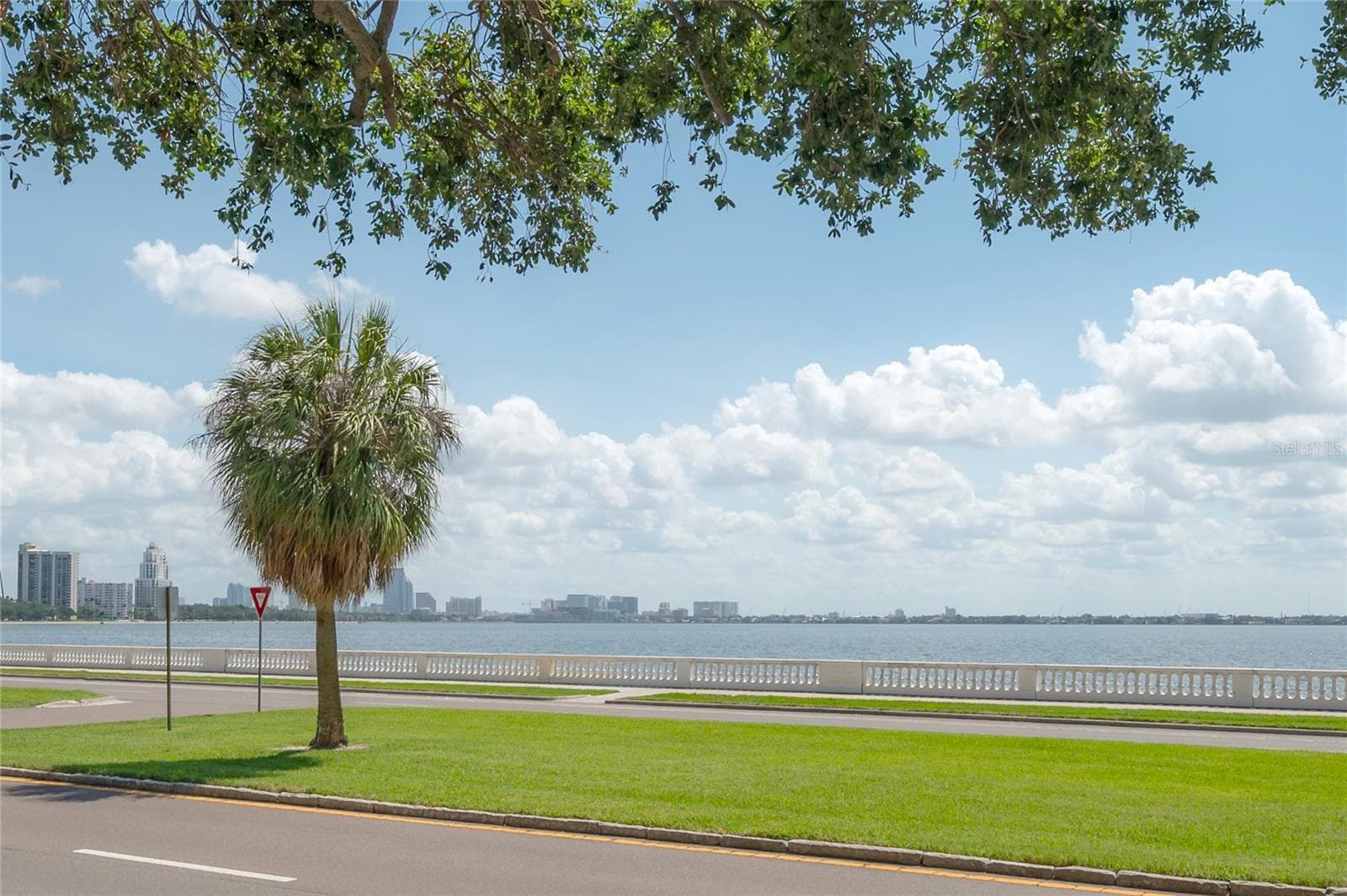 3325 Bayshore Blvd #A17 photo 2