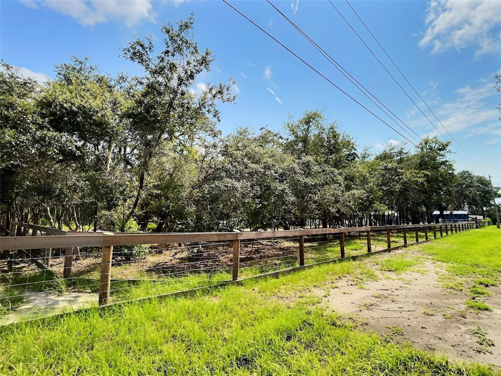 13354 Tyrone St photo 5