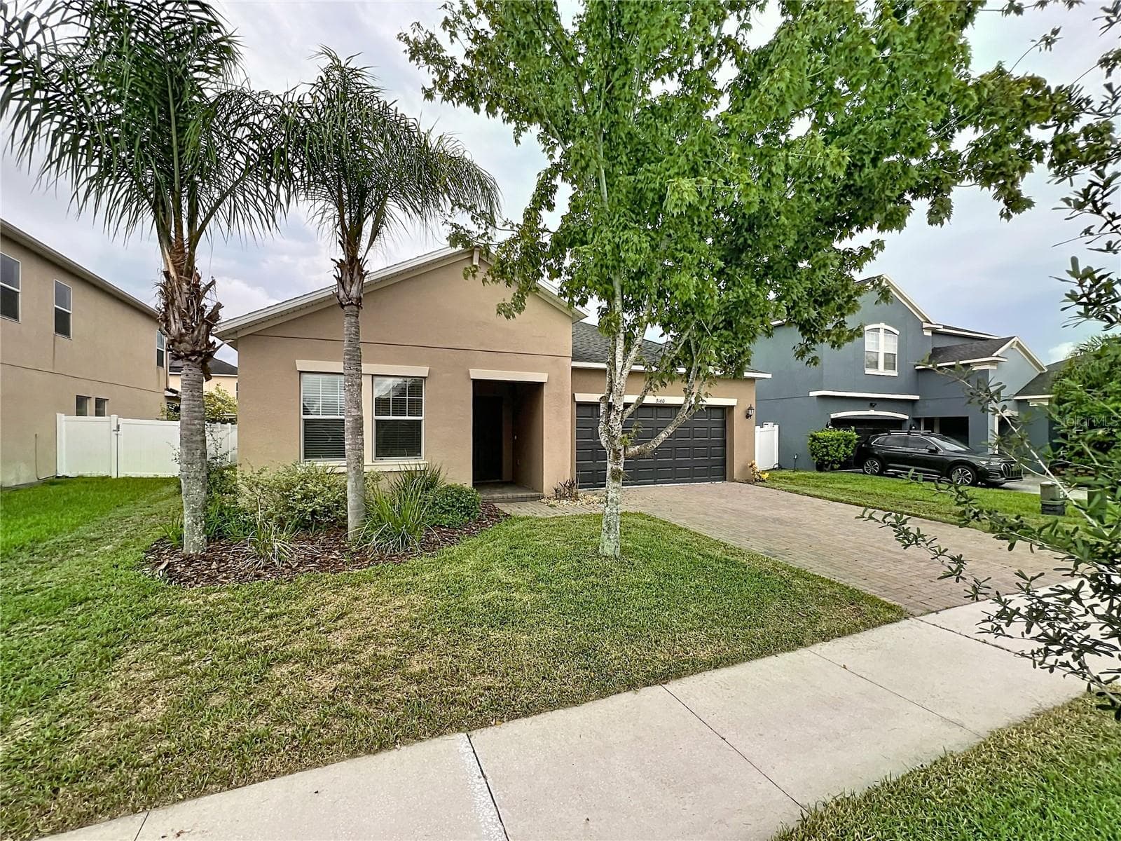 3160 Calvano Dr photo 3
