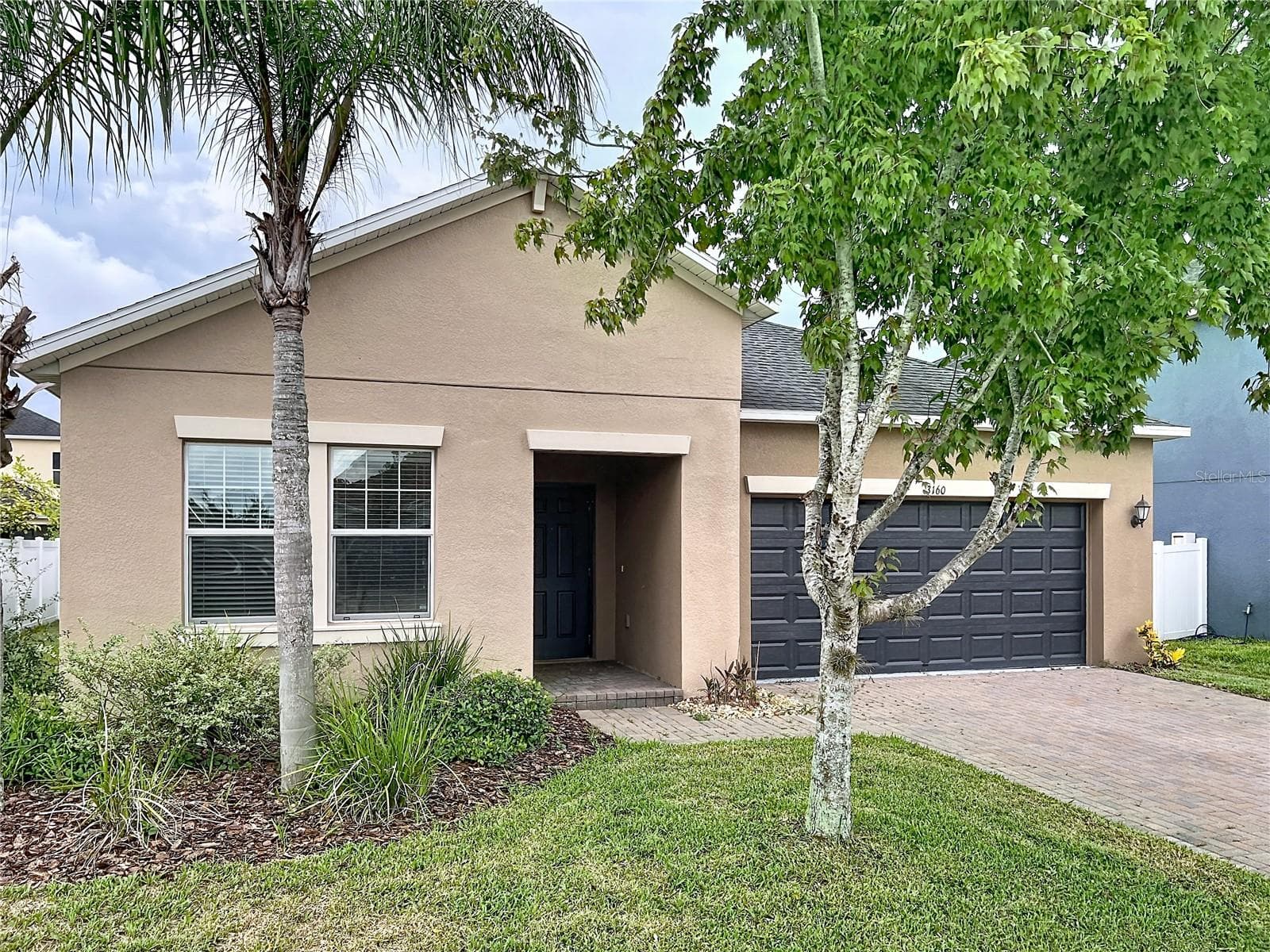 3160 Calvano Dr photo 4