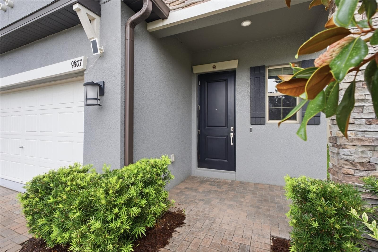 9807 Wild Begonia Loop photo 4