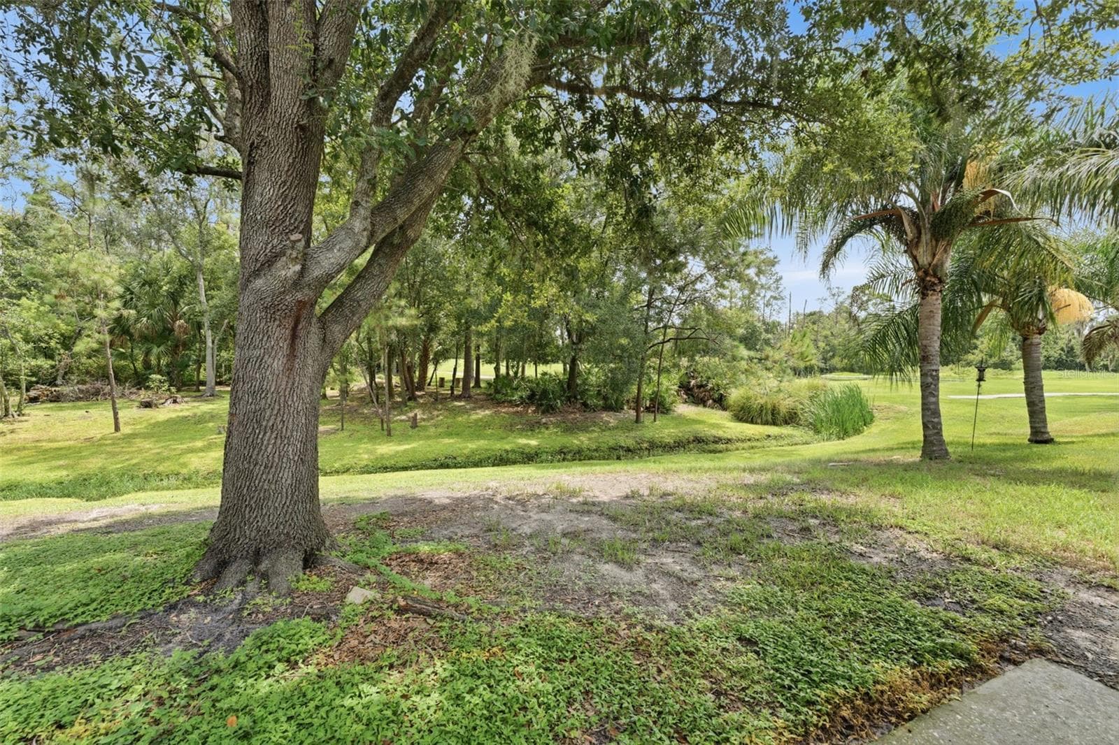 5852 Autumn Shire photo 4