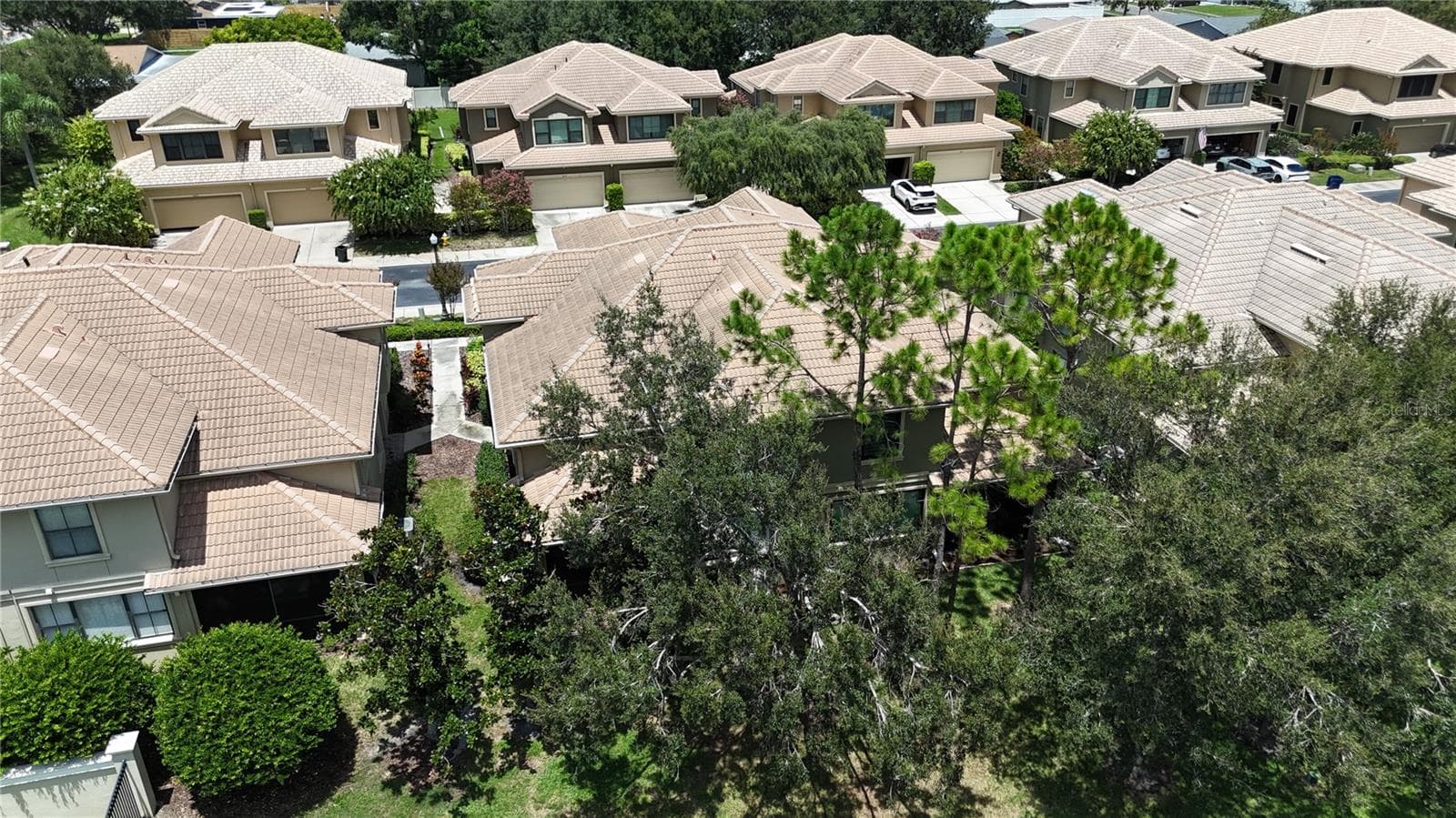 8240 Acadian Ln photo 3
