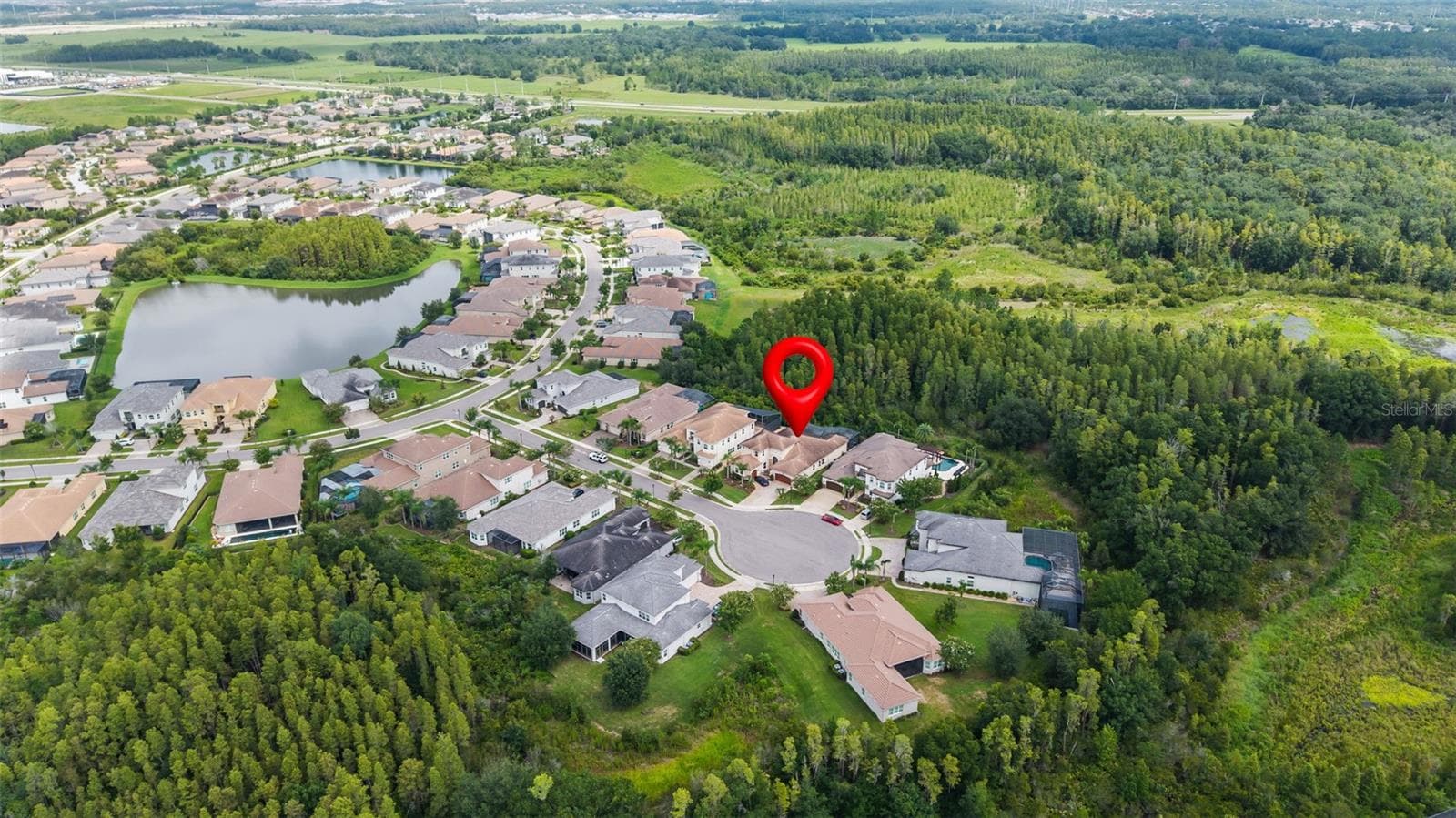 30581 Ivy Forge CT photo 3