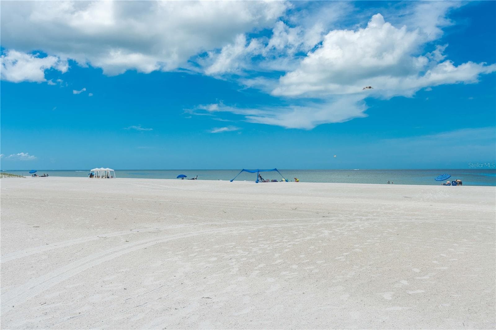 11605 Gulf Blvd #503 photo 2