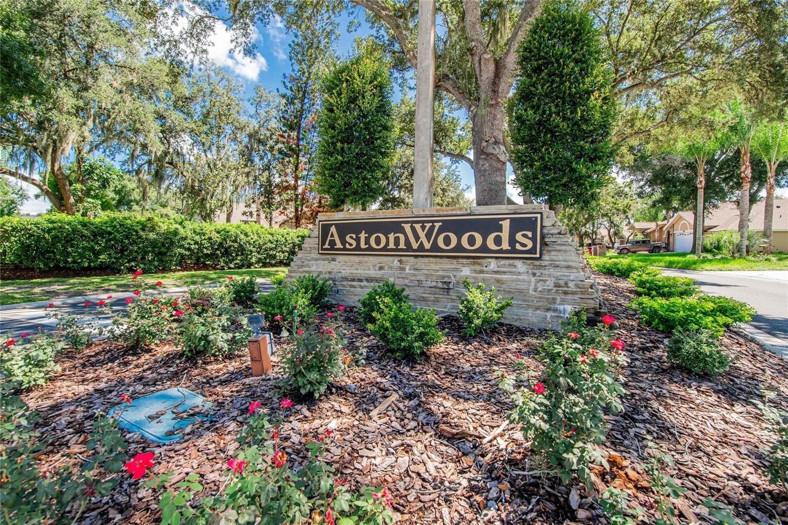 2704 Aston Ave photo 2