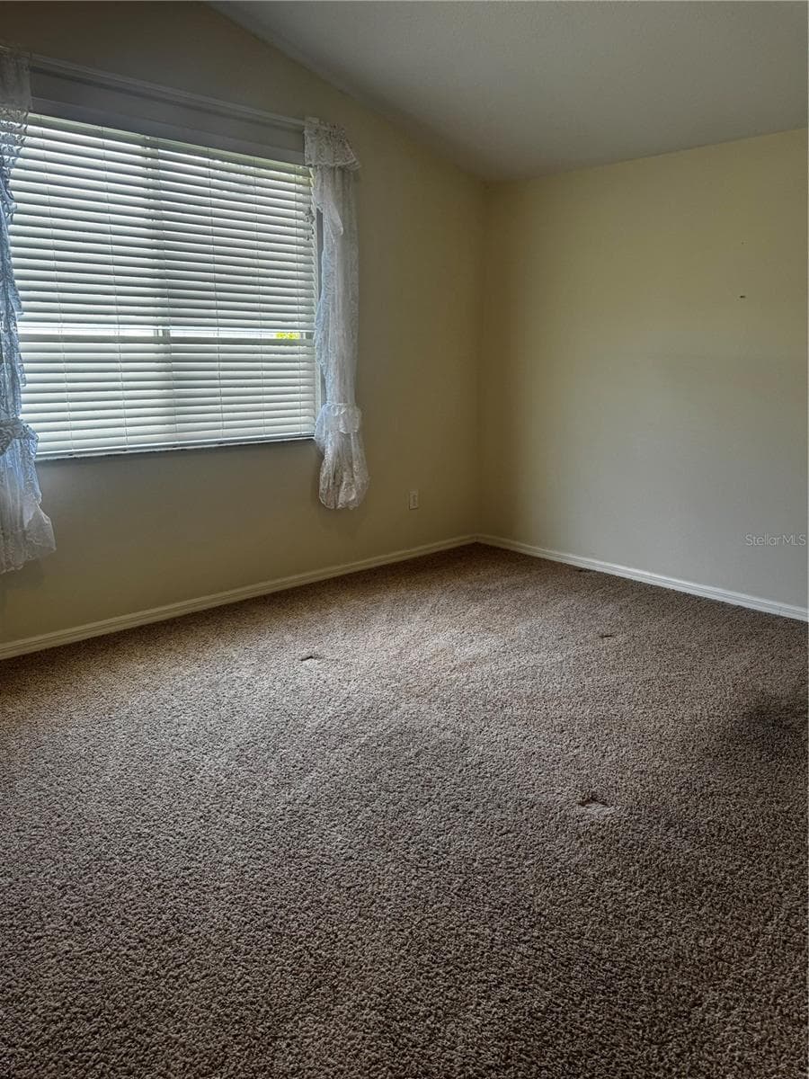 8806 Cypress Hammock Dr photo 5