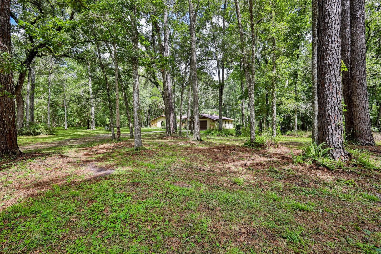 18255 Lake Lindsey Rd photo 3