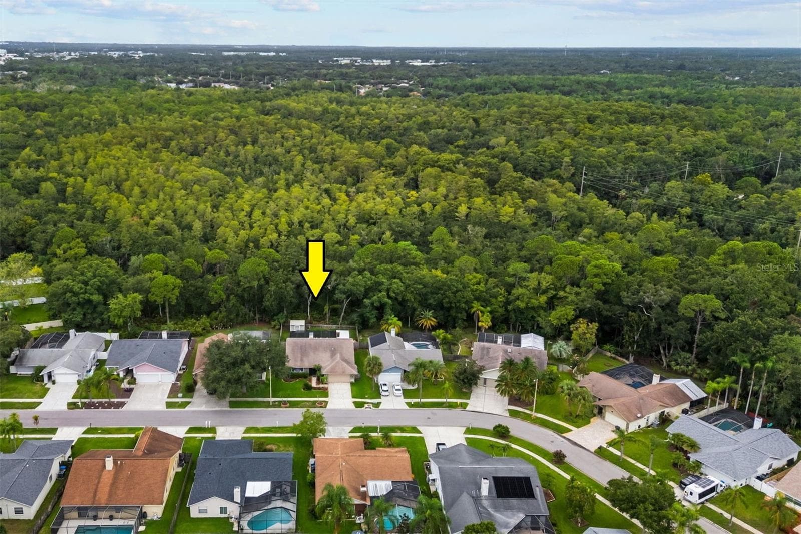 11910 Steppingstone Blvd. photo 3