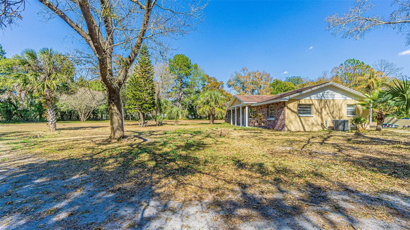 3902 Autumn Palm Dr photo 2
