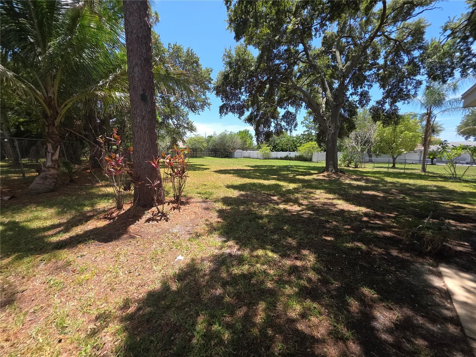 63 Oakwood Dr photo 4