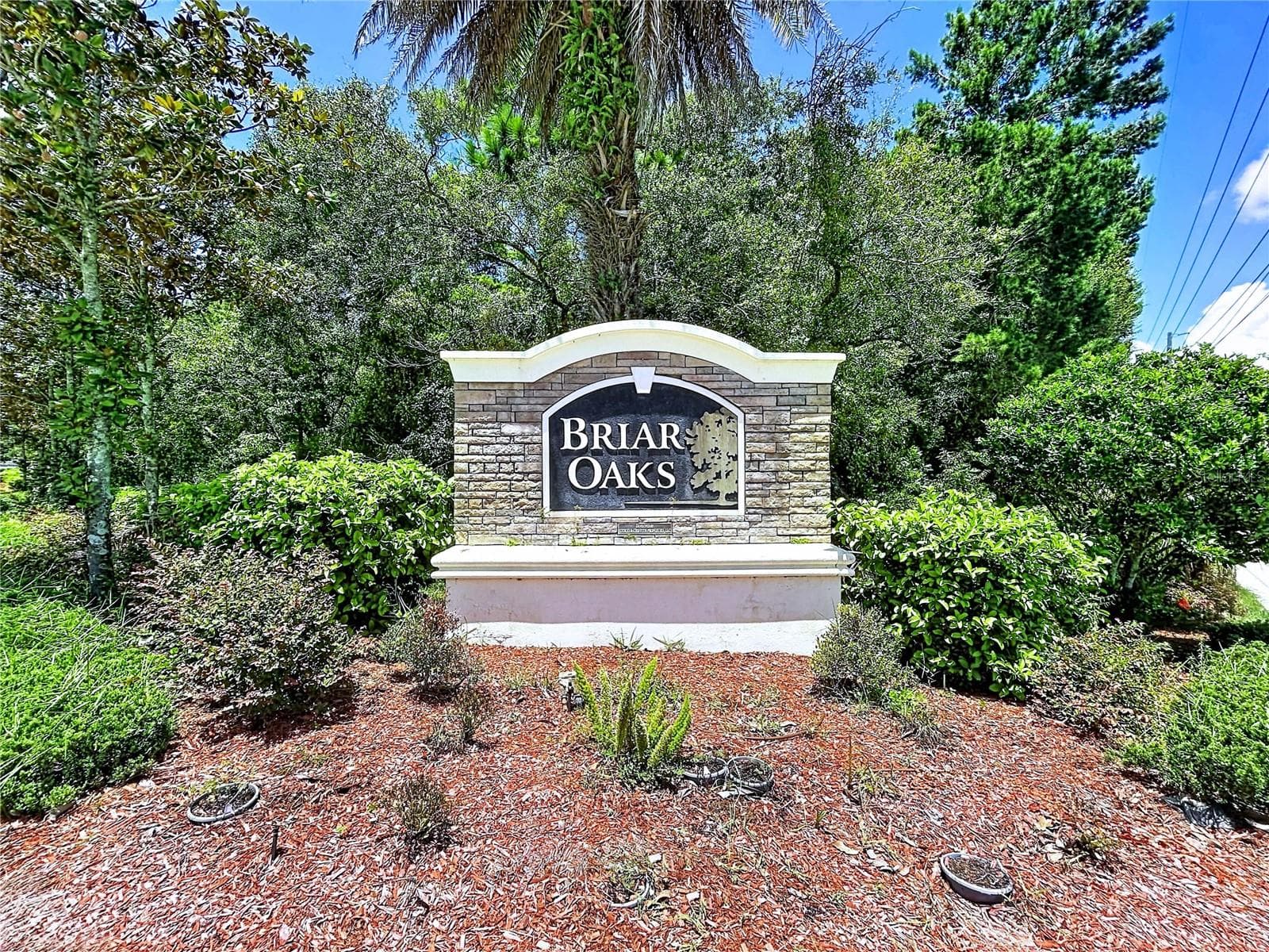 18607 Briar Oaks Dr photo 2