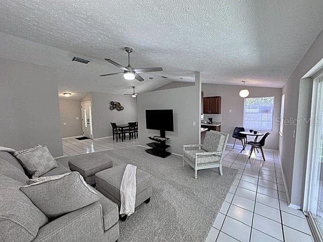 16004 Grass Lake Dr photo 5