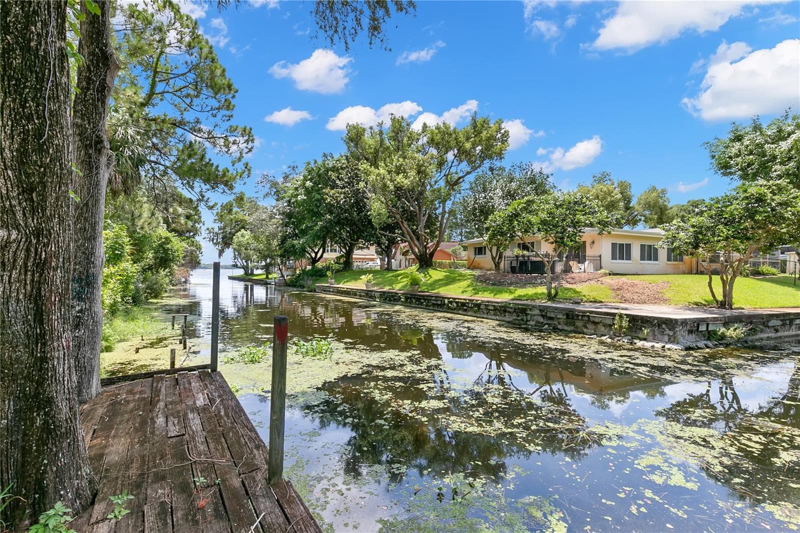 1435 Wegmann Dr photo 5