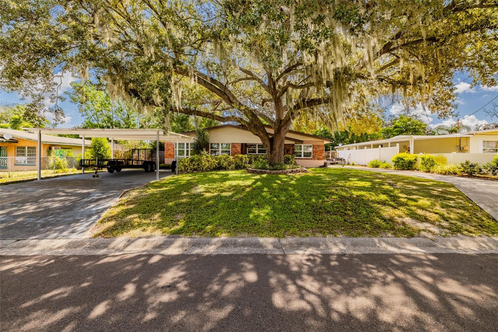 1205 W Camellia Dr photo 3